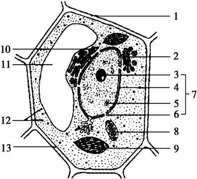 生殖医学科